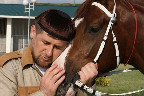 Кадыров: «Европа лишила прав даже лошадей»