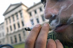 В Чехии борются за легализацию марихуаны