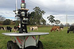 Робот-скотовод из Австралии