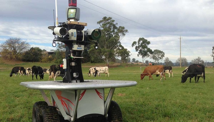 Робот-скотовод из Австралии