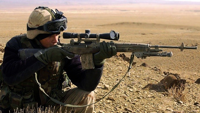 Снайперская винтовка M14. Фото:  soldierweapons.ru