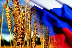 Россия планирует поставлять в Венесуэлу пшеницу