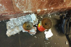 Обезврежено мощное взрывное устройство на станции метро «Площадь восстания»