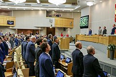 Депутаты Госдумы проголосовали за уголовное наказание за пропаганду терроризма