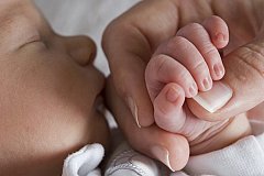 В США родилась девочка после 24 лет заморозки в виде эмбриона