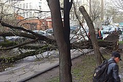 Ураган в Москве - есть пострадавшие. ВИДЕО