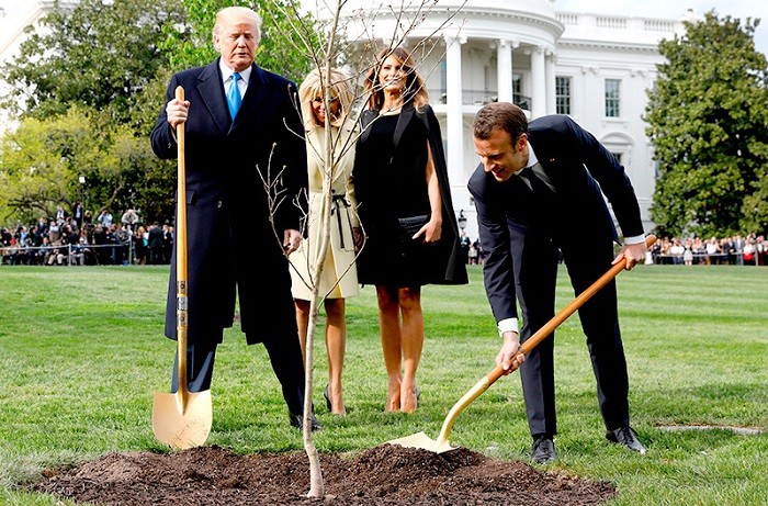 Дональд Трамп и Эммануэль Макрон сажают дуб на лужайке Белого Дома. Фото: newsru.com