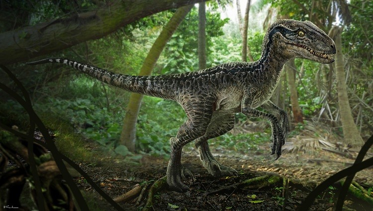 Динозавр в Тбилиси. ВИДЕО фото 2