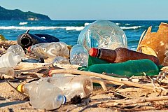 Использование одноразового пластика в России хотят запретить