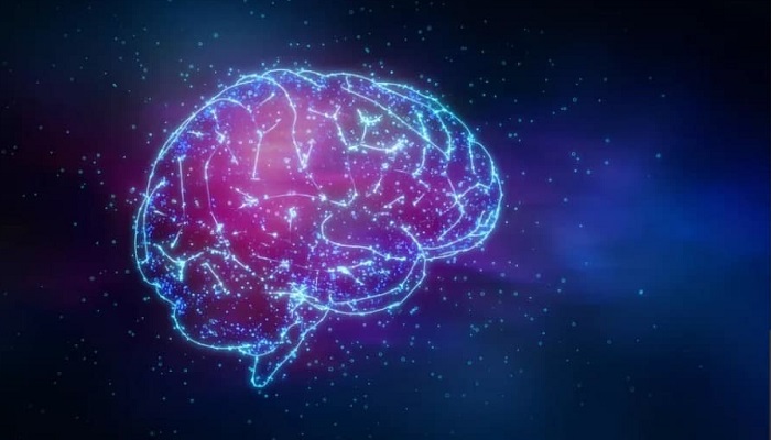 Откуда сознание? Может ли наш мозг помочь доказать, что Вселенная сознательна?
