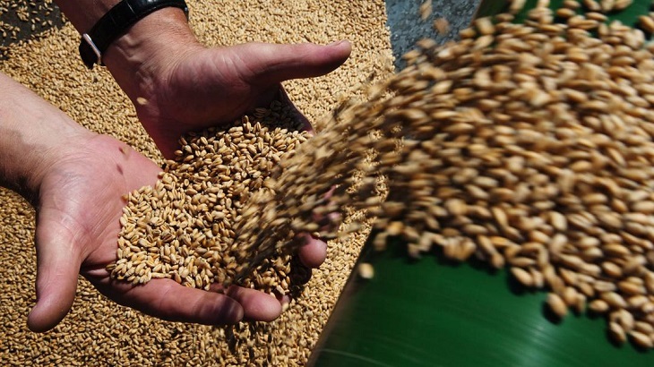 В России захотели продавать зерно за рубли